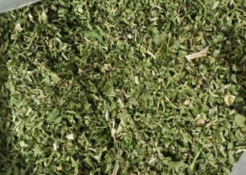 煙臺(tái)脫水香菜